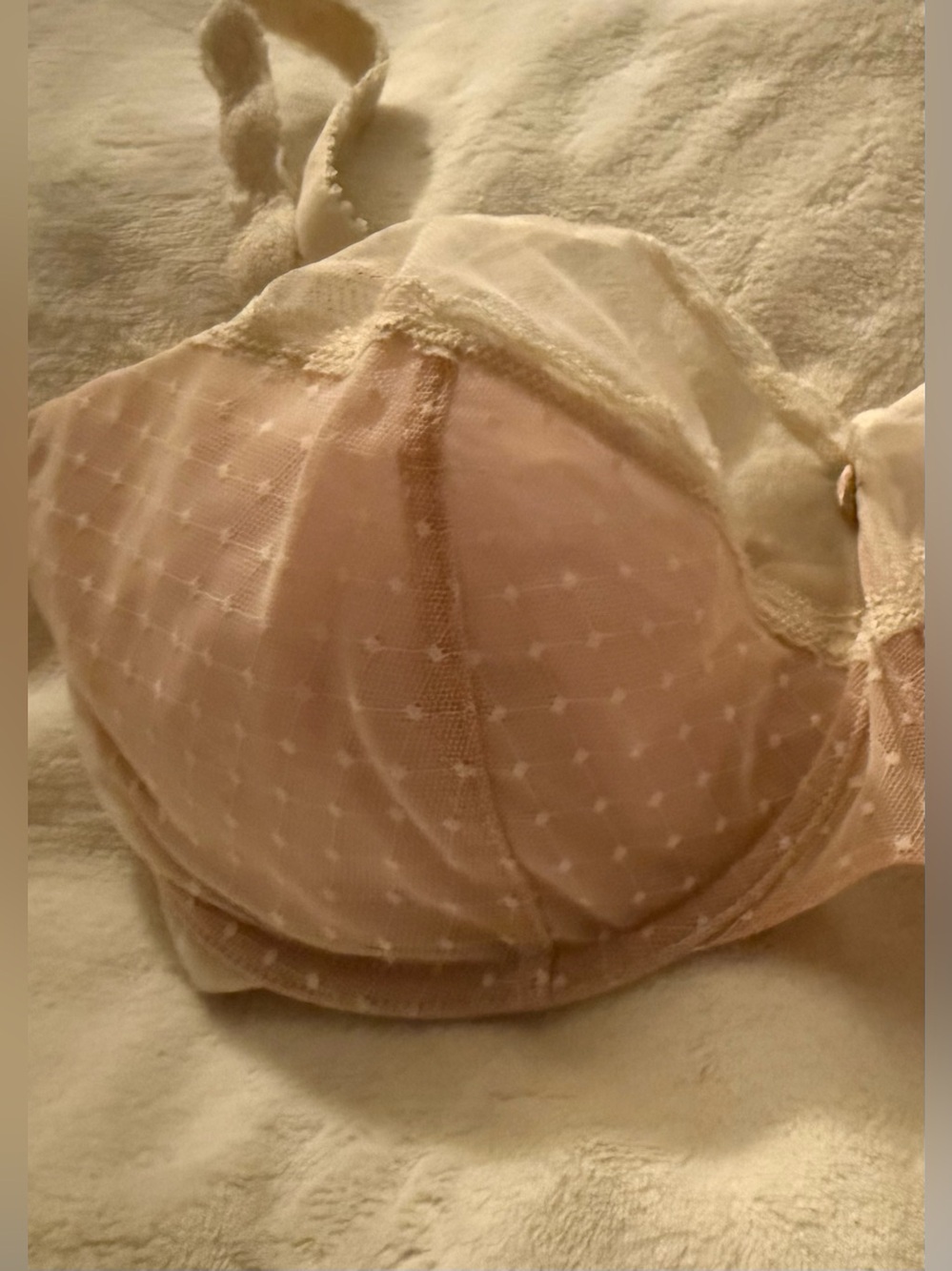 Discontinued Half-Cup Wonderbra Light Blush Sheer Dot Lace 36F Plus Rosette